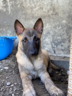 Una bambina 