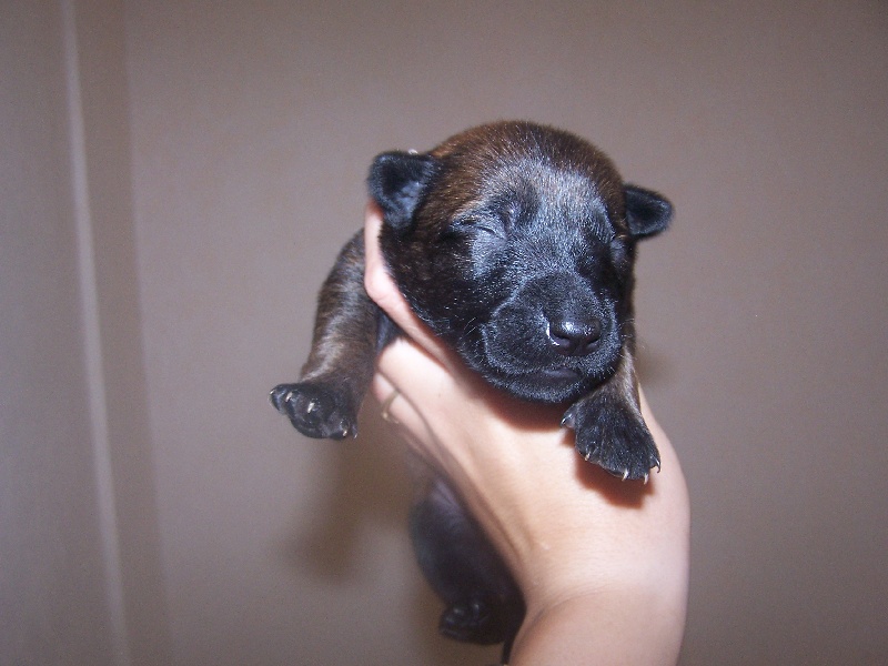les bébés à 9 jours, le 29/07/2010